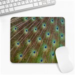 Peacock Feathers 2 Large Mousepad