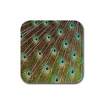 Peacock Feathers 2 Rubber Square Coaster (4 pack)