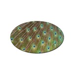 Peacock Feathers 2 Sticker (Oval)