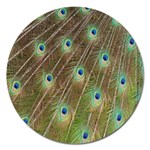 Peacock Feathers 2 Magnet 5  (Round)