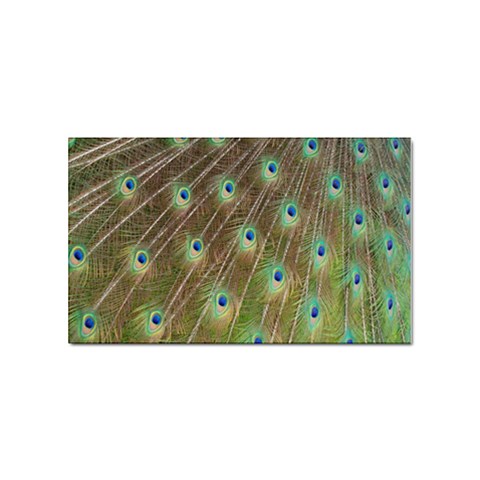 Peacock Feathers 2 Sticker Rectangular (10 pack) from ArtsNow.com Front