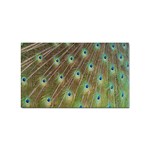 Peacock Feathers 2 Sticker Rectangular (100 pack)