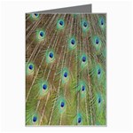 Peacock Feathers 2 Greeting Card