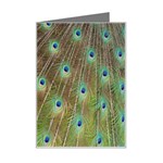 Peacock Feathers 2 Mini Greeting Card