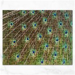 Peacock Feathers 2 Jigsaw Puzzle (Rectangular)