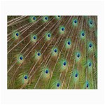 Peacock Feathers 2 Glasses Cloth (Small)