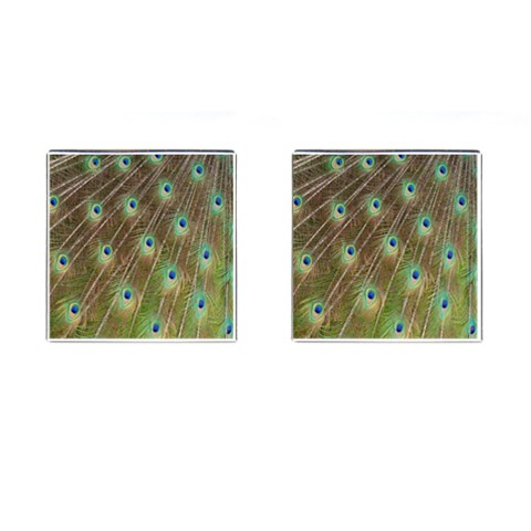 Peacock Feathers 2 Cufflinks (Square) from ArtsNow.com Front(Pair)
