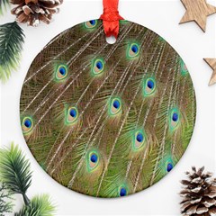 Peacock Feathers 2 Round Ornament (Two Sides) from ArtsNow.com Front