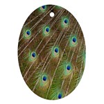 Peacock Feathers 2 Oval Ornament (Two Sides)