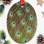 Peacock Feathers 2 Oval Ornament (Two Sides)