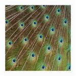 Peacock Feathers 2 Glasses Cloth (Medium, Two Sides)