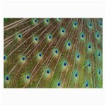 Peacock Feathers 2 Glasses Cloth (Large)