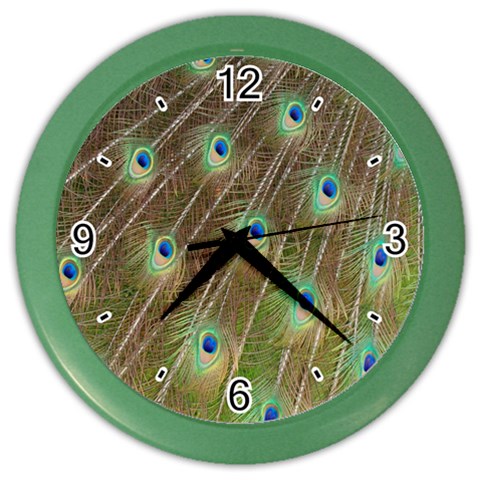 Peacock Feathers 2 Color Wall Clock from ArtsNow.com Front