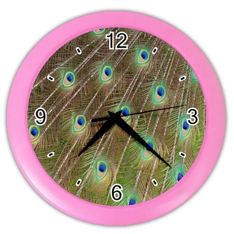 Peacock Feathers 2 Color Wall Clock from ArtsNow.com Front