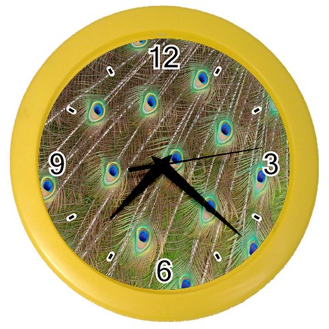 Peacock Feathers 2 Color Wall Clock from ArtsNow.com Front