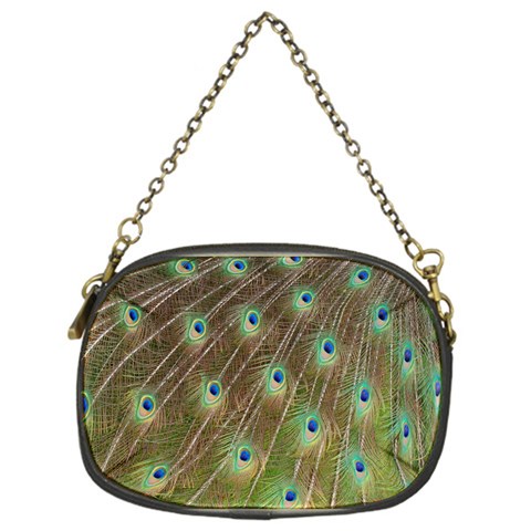 Peacock Feathers 2 Chain Purse (One Side) from ArtsNow.com Front