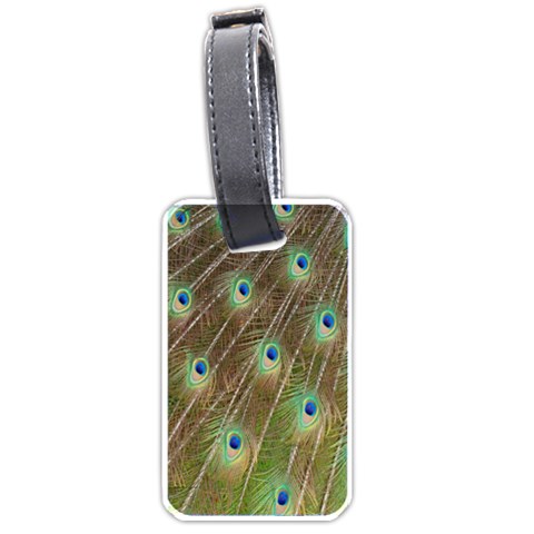 Peacock Feathers 2 Luggage Tag (one side) from ArtsNow.com Front