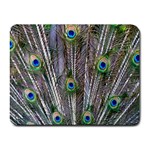 Peacock Feathers 3 Small Mousepad