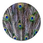 Peacock Feathers 3 Round Mousepad