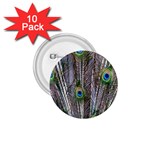 Peacock Feathers 3 1.75  Button (10 pack) 