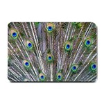 Peacock Feathers 3 Small Doormat