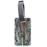 Peacock Feathers 3 Luggage Tag (two sides)