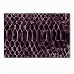 Snake Skin 3 Postcards 5  x 7  (Pkg of 10)