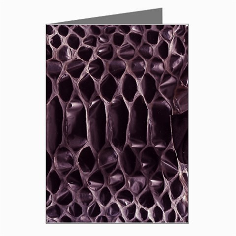 Snake Skin 3 Greeting Card from ArtsNow.com Left
