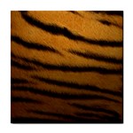 Tiger Skin 2 Tile Coaster