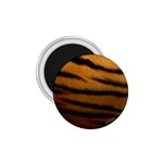 Tiger Skin 2 1.75  Magnet