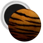 Tiger Skin 2 3  Magnet