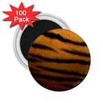 Tiger Skin 2 2.25  Magnet (100 pack) 