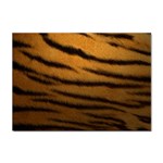 Tiger Skin 2 Sticker A4 (10 pack)