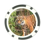 Tiger 1 Poker Chip Card Guard (10 pack)