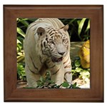 Tiger 2 Framed Tile