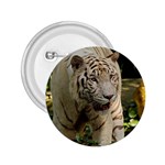 Tiger 2 2.25  Button