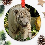 Tiger 2 Ornament (Round)