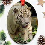 Tiger 2 Ornament (Oval)