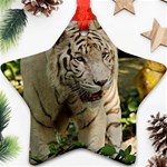 Tiger 2 Ornament (Star)