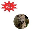 Tiger 2 1  Mini Button (10 pack) 