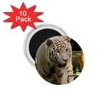 Tiger 2 1.75  Magnet (10 pack) 