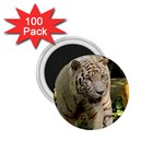 Tiger 2 1.75  Magnet (100 pack) 