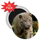 Tiger 2 2.25  Magnet (10 pack)