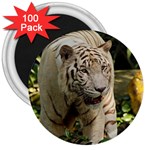 Tiger 2 3  Magnet (100 pack)