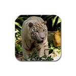 Tiger 2 Rubber Square Coaster (4 pack)