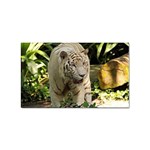 Tiger 2 Sticker (Rectangular)