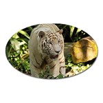 Tiger 2 Magnet (Oval)