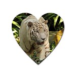 Tiger 2 Magnet (Heart)