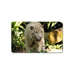 Tiger 2 Magnet (Name Card)