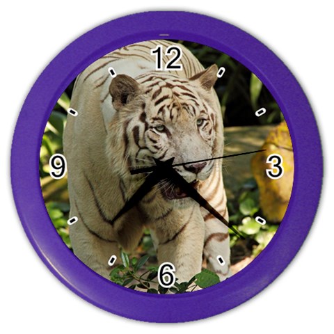 Tiger 2 Color Wall Clock from ArtsNow.com Front